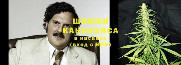 гидра Армянск