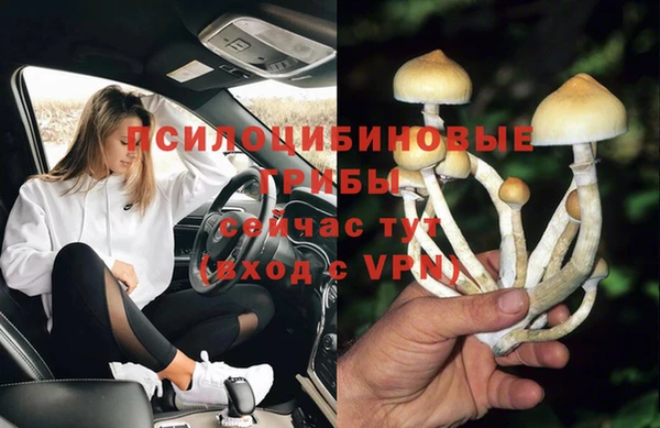 таблы Арсеньев