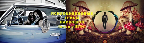 гидра Армянск