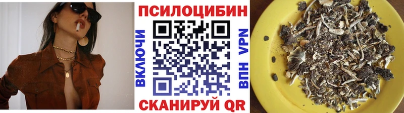Псилоцибиновые грибы Psilocybe  купить  сайты  Хвалынск 